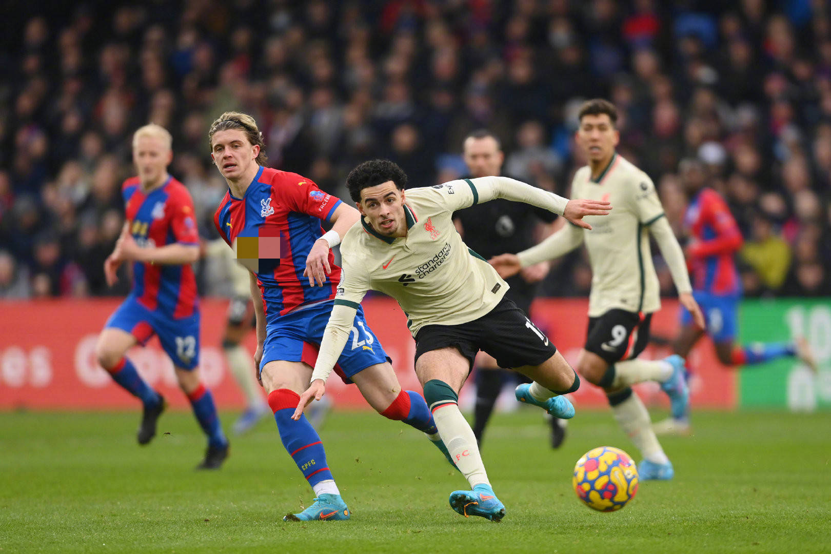 每天都有新 每天都有新